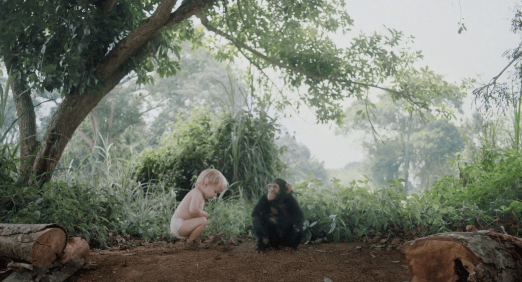 a toddler sitting next to a chimpansee in a forest, chunks of trees in the foreground